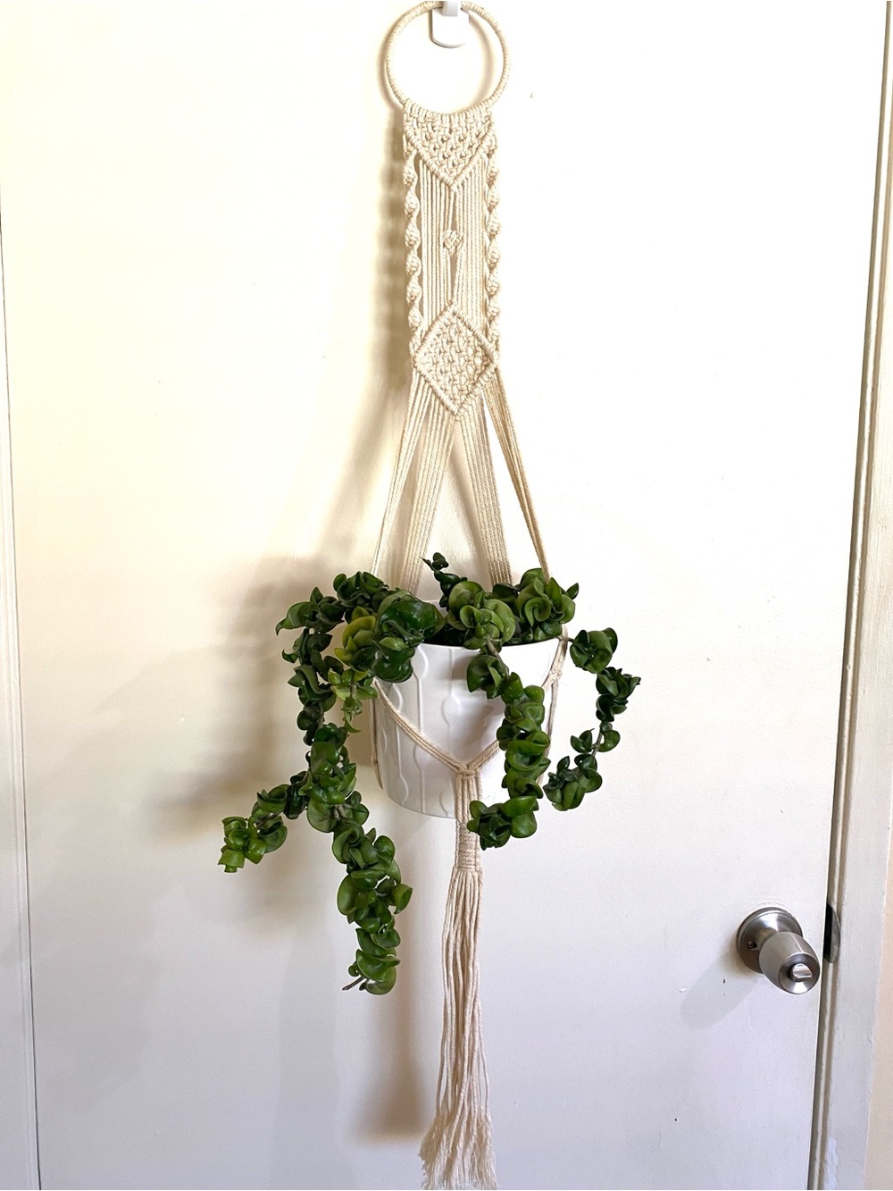 Cream Macramé Plant Hanger for Potted Indoor Plants